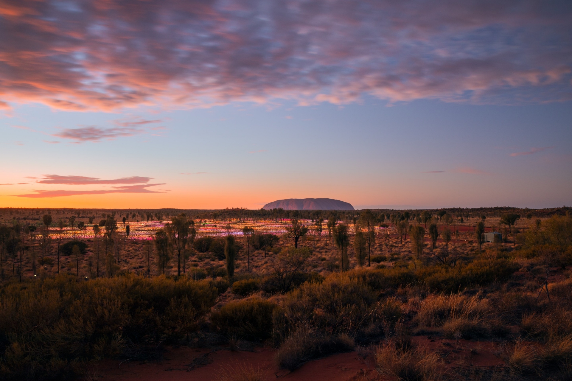 Field of Light, Uluru, Northern Territory © Tourism Australia