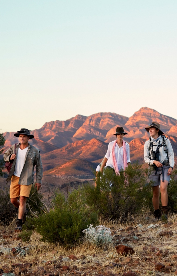 The Arkaba Walk, Ruger's Hill, Flinders Ranges, South Australia © Hugh Stewart