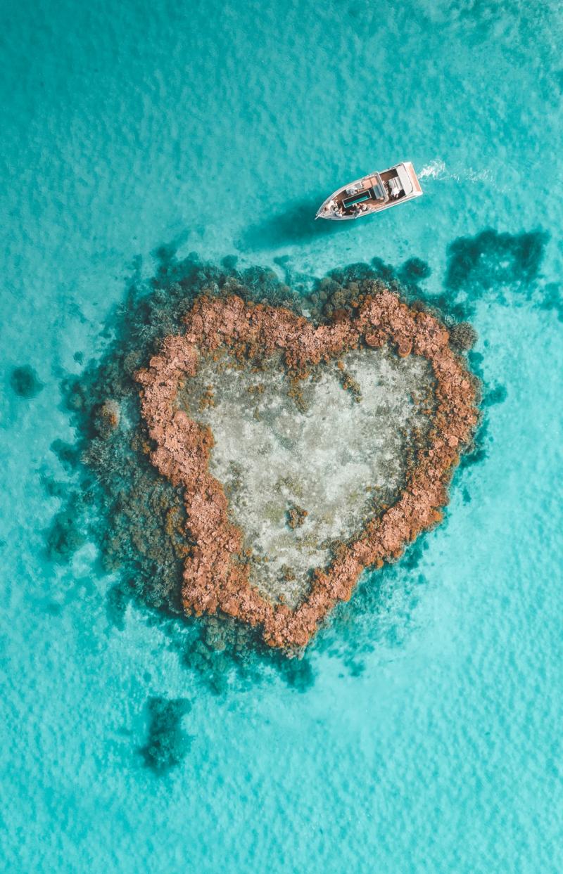 Vue aérienne du récif cardiaque, Whitsundays, Queensland © Saltywings