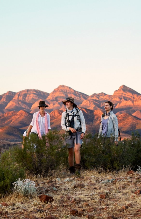   Arkaba Walk, Flinders Ranges, SA