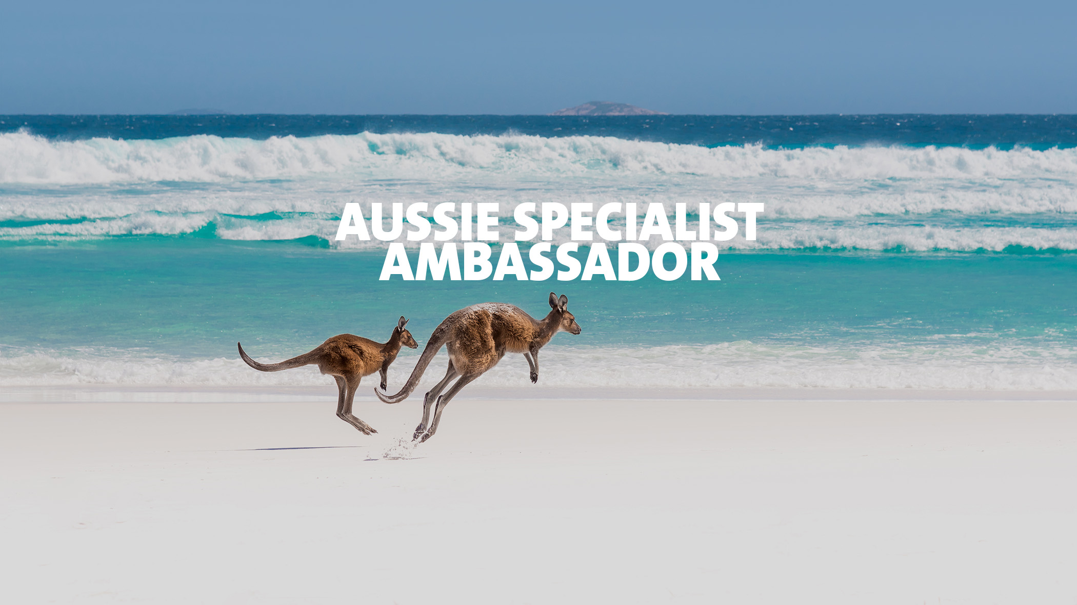 Aussie Specialist Ambassador Search for marketing/pr, specialist, specialist, brand ambassador, specialist, campus post brand ambassador jobs for free, marketing/pr job posting site for canada, uk, london, ireland. aussie specialist ambassador